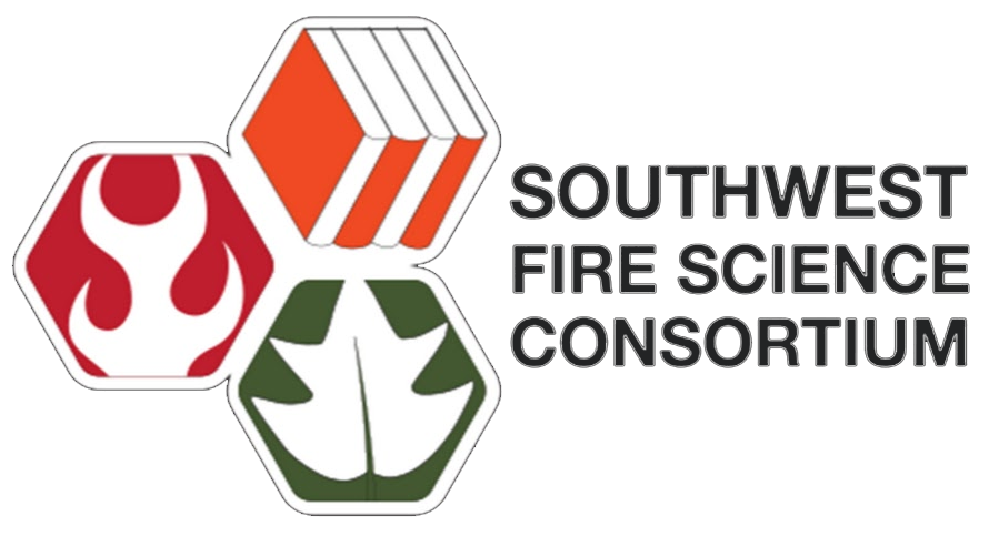 Del Fuego Logo